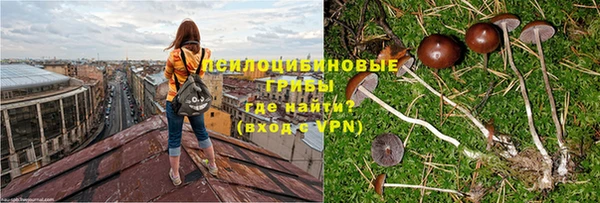 mdpv Верея