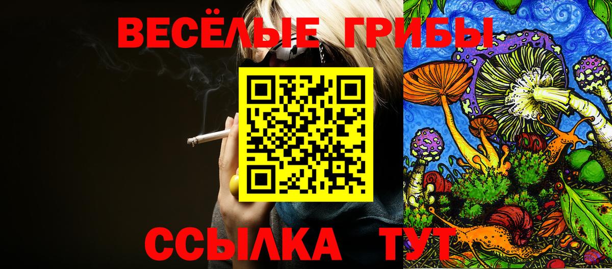 Воткинск  Псилоцибиновые грибы Psilocybe  Псилоцибиновые грибы GOLDEN TEACHER  Вход с VPN 