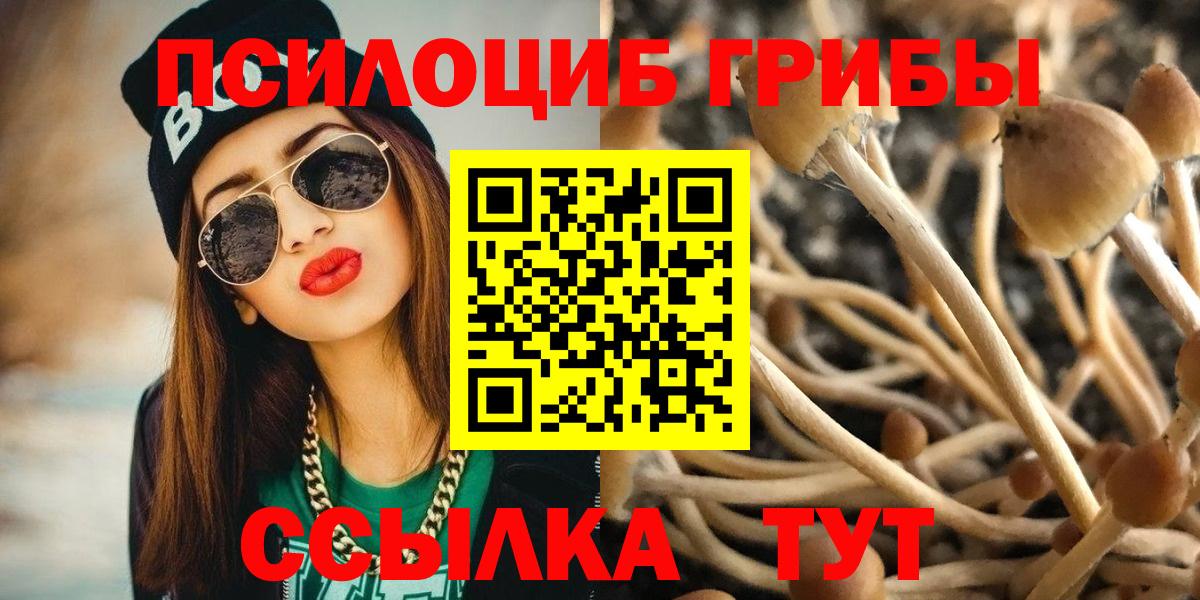 Псилоцибиновые грибы ЛСД Воткинск
